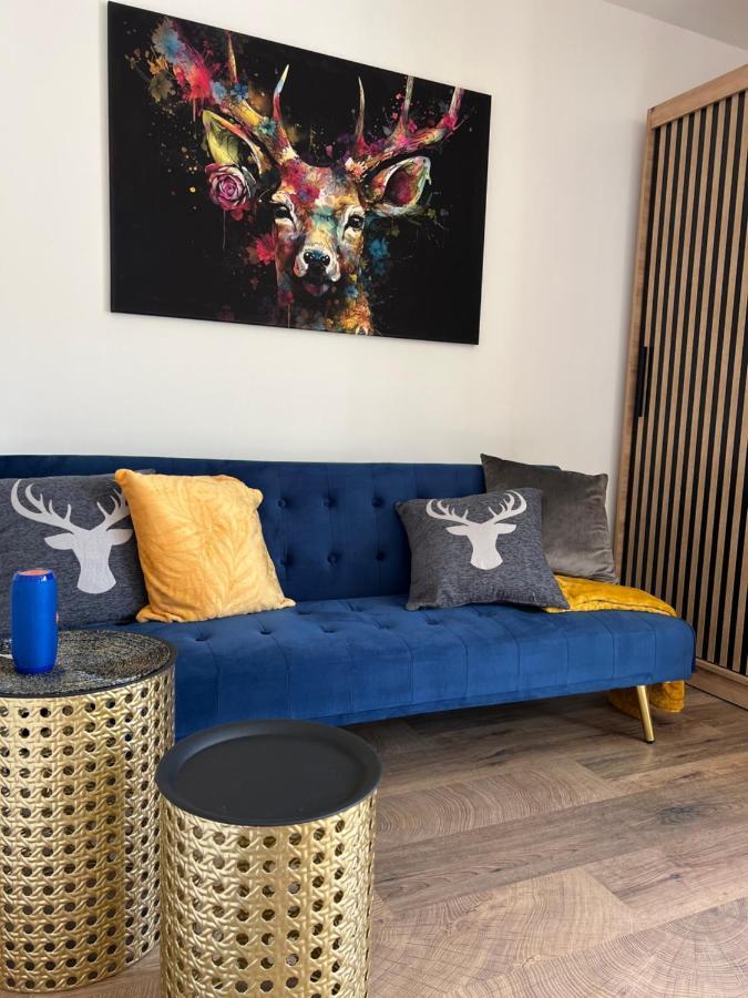 Bavaria Mountain Lodge Ski Arber Osser Bayrischer Wald Designer Ferienwohnung 洛恩堡 外观 照片