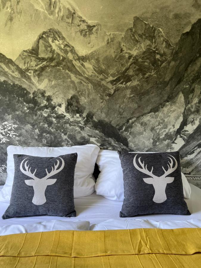 Bavaria Mountain Lodge Ski Arber Osser Bayrischer Wald Designer Ferienwohnung 洛恩堡 外观 照片