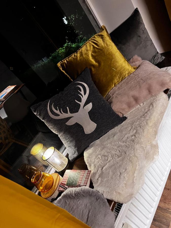 Bavaria Mountain Lodge Ski Arber Osser Bayrischer Wald Designer Ferienwohnung 洛恩堡 外观 照片