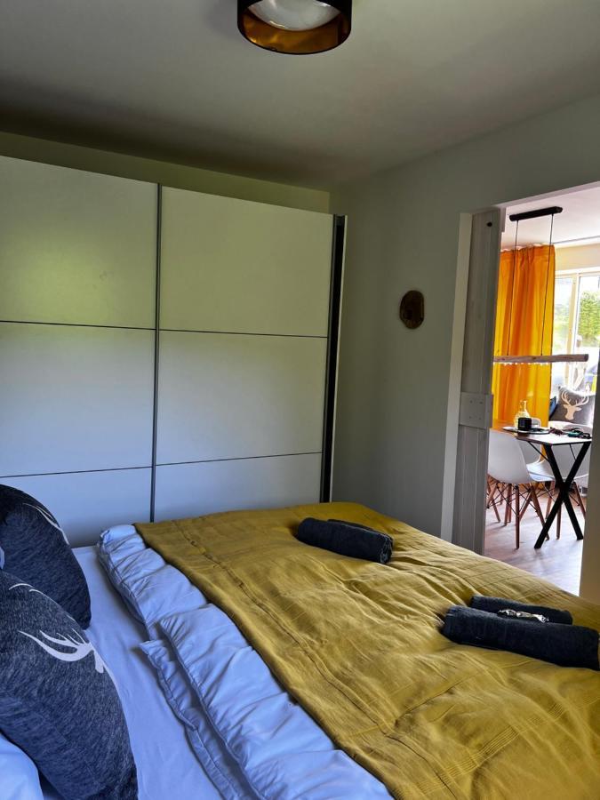 Bavaria Mountain Lodge Ski Arber Osser Bayrischer Wald Designer Ferienwohnung 洛恩堡 外观 照片