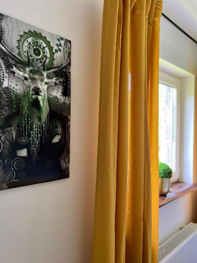 Bavaria Mountain Lodge Ski Arber Osser Bayrischer Wald Designer Ferienwohnung 洛恩堡 外观 照片