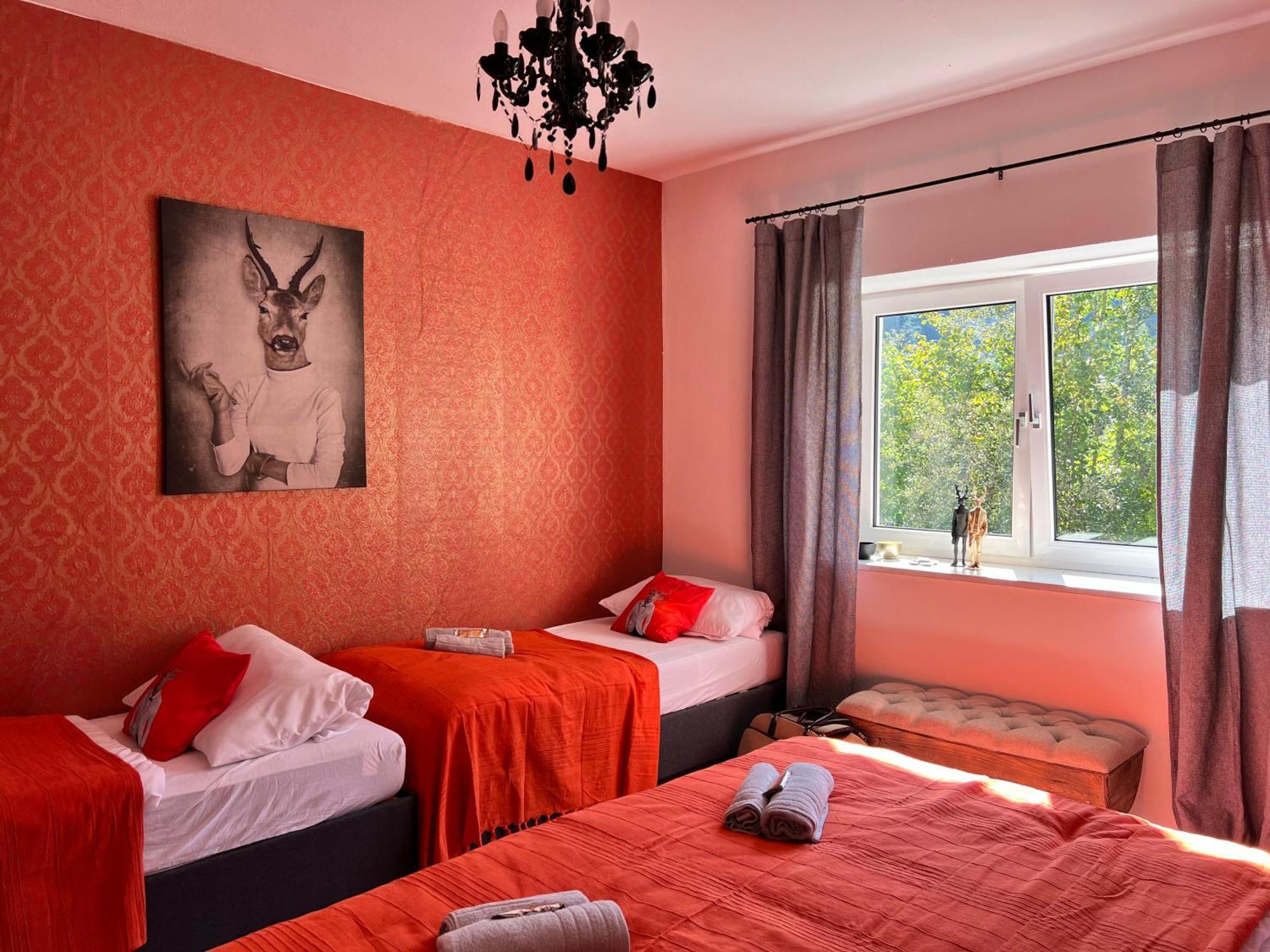 Bavaria Mountain Lodge Ski Arber Osser Bayrischer Wald Designer Ferienwohnung 洛恩堡 外观 照片